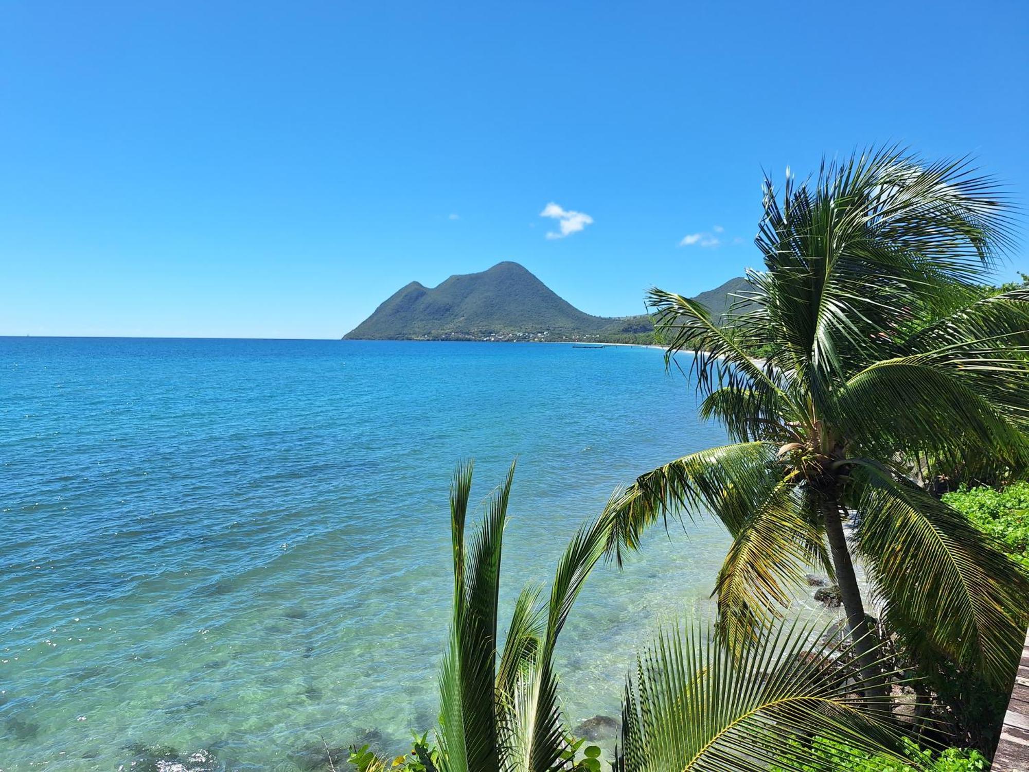 Le Madja'Kaz - Studio En Residence Et Bord De Mer - Sainte Luce Martinique Екстер'єр фото