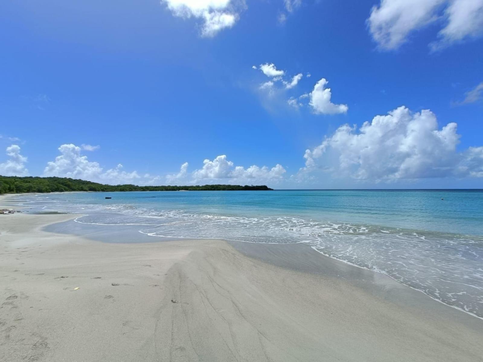 Le Madja'Kaz - Studio En Residence Et Bord De Mer - Sainte Luce Martinique Екстер'єр фото