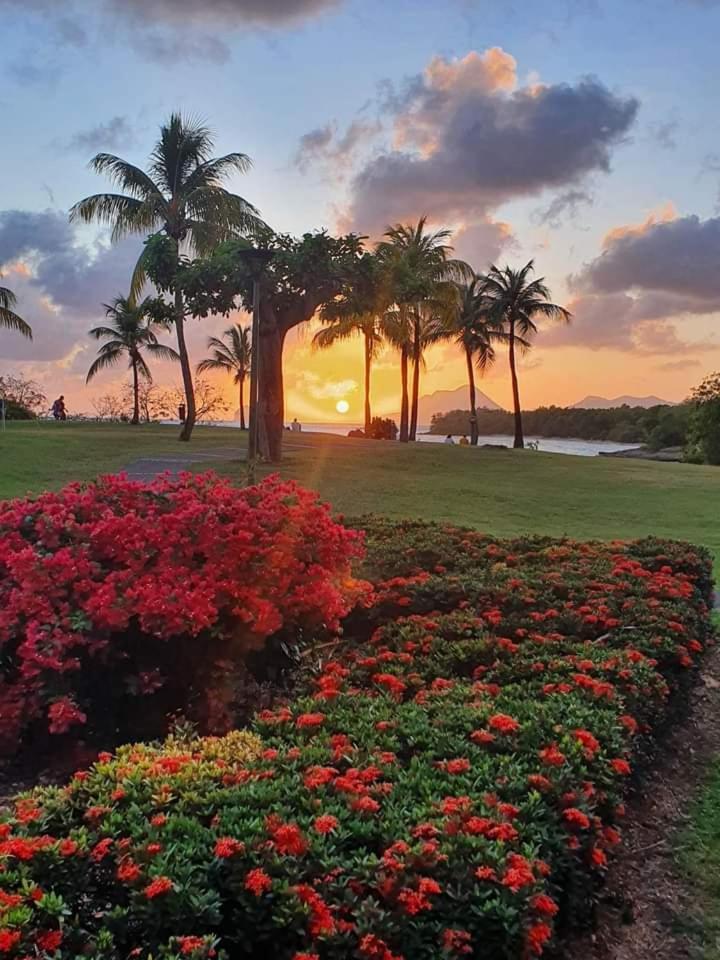 Le Madja'Kaz - Studio En Residence Et Bord De Mer - Sainte Luce Martinique Екстер'єр фото