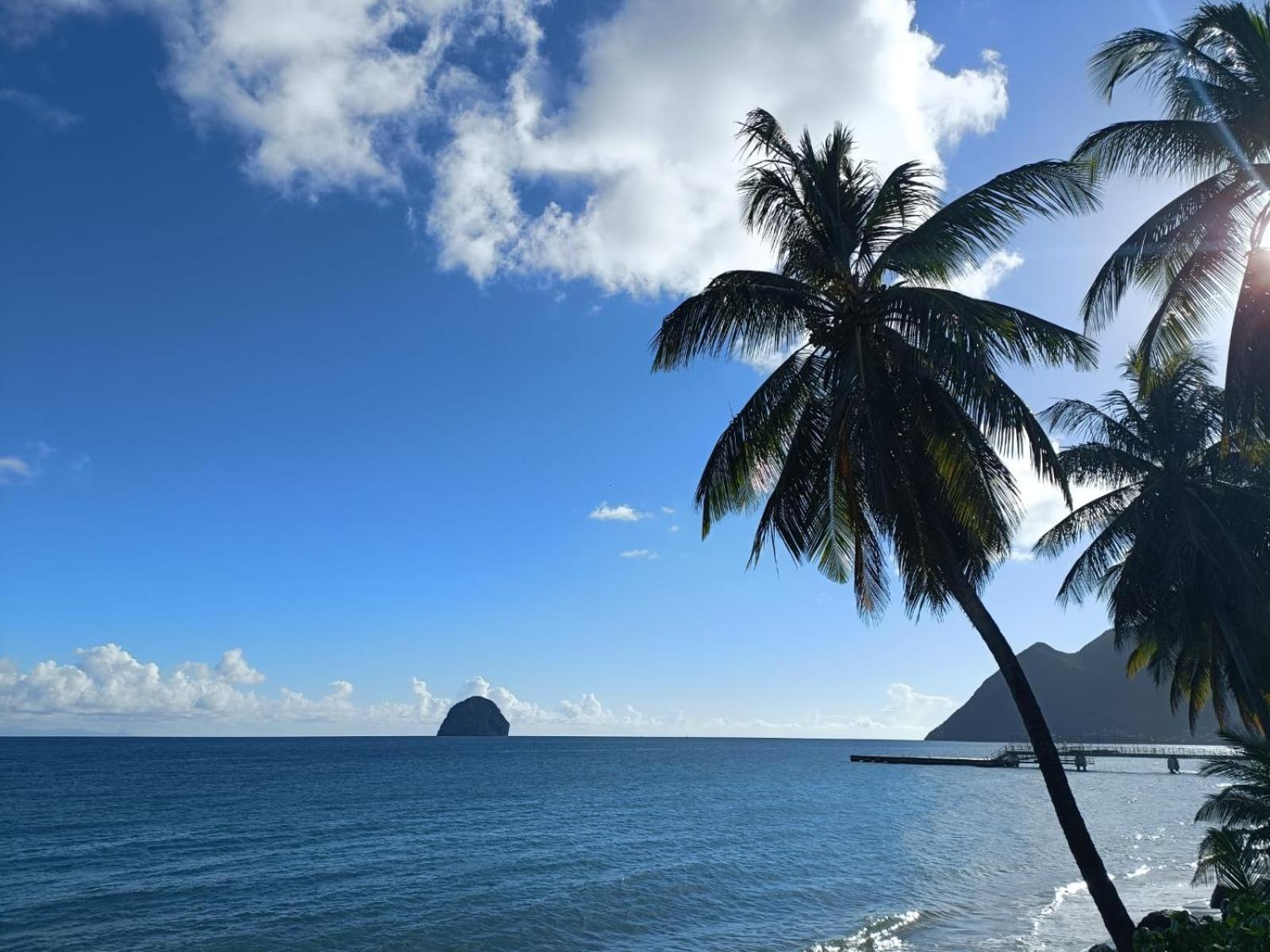 Le Madja'Kaz - Studio En Residence Et Bord De Mer - Sainte Luce Martinique Екстер'єр фото